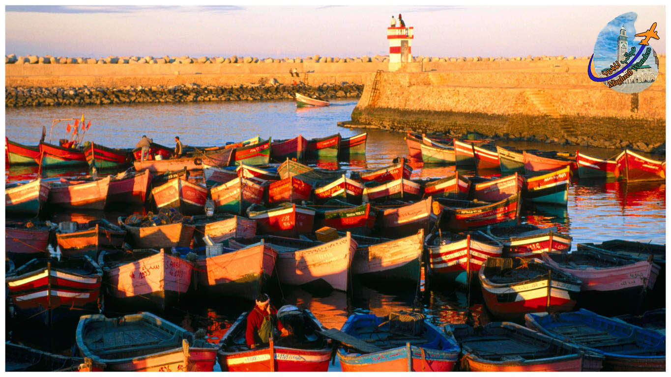 Aljadida Full-day Trip from Casablanca