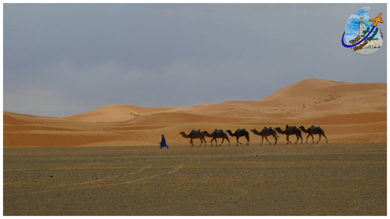 Off road to Sahara day Trip