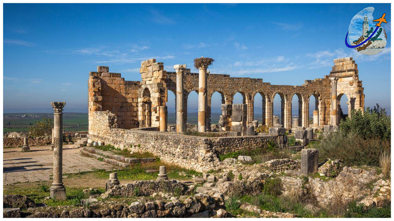 Volubilis & Meknes Full-day trip From Fes