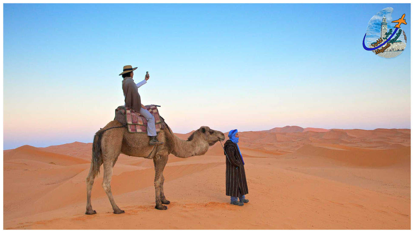 Geology Desert Tours